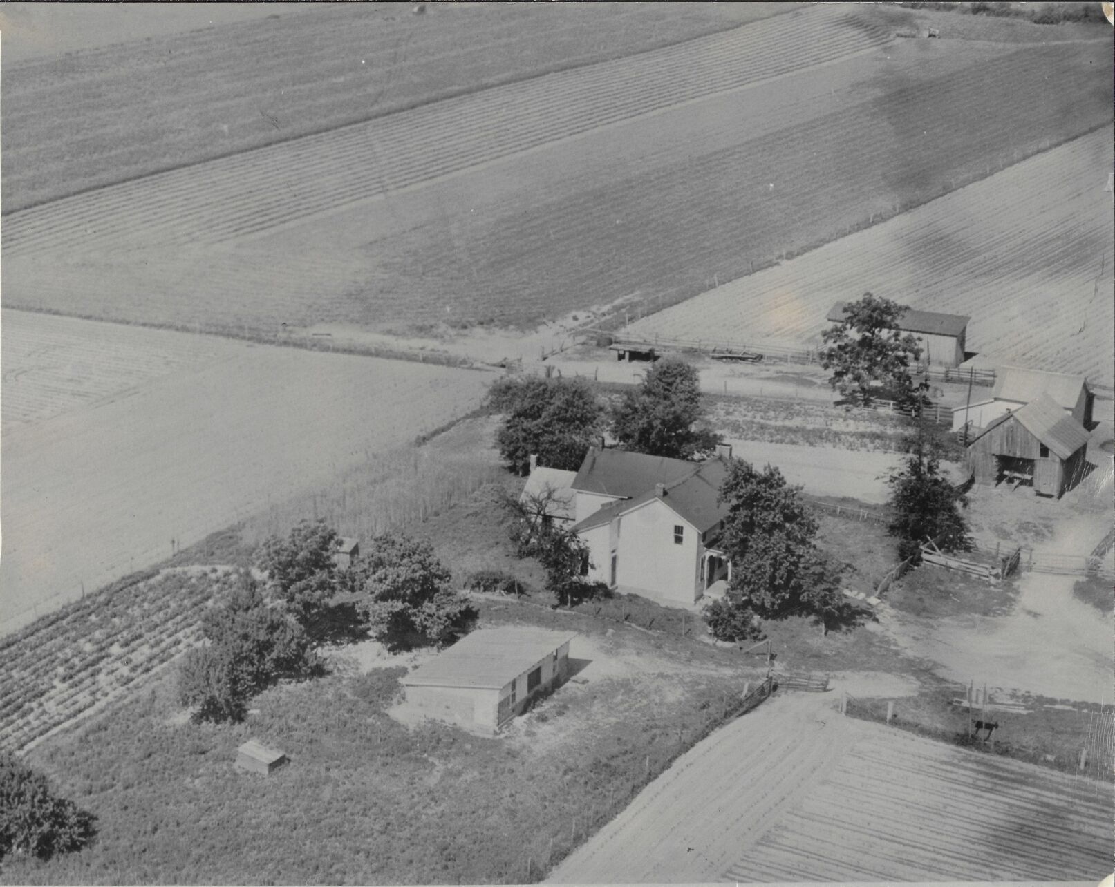 Looking Back: The Ellis farm in 1950